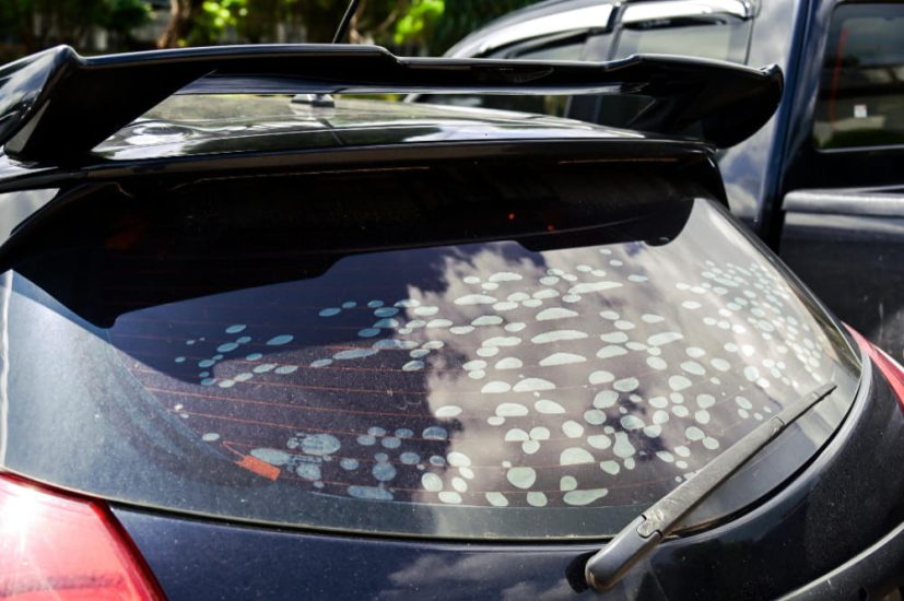 How to fix automotive tint with bubbles, damage and peeling
